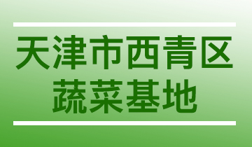 天津市西青区蔬菜基地