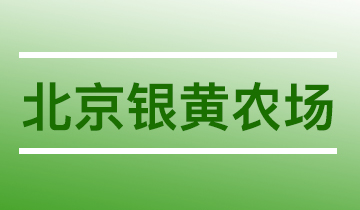 北京银黄农场
